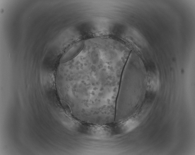 X0000087640523200705031513