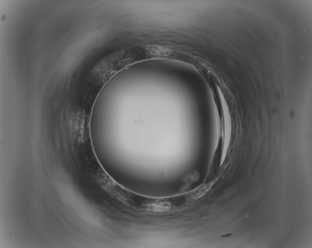 X0000087640525200705031513