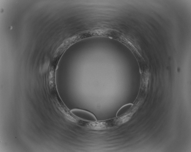 X0000087640526200705031513