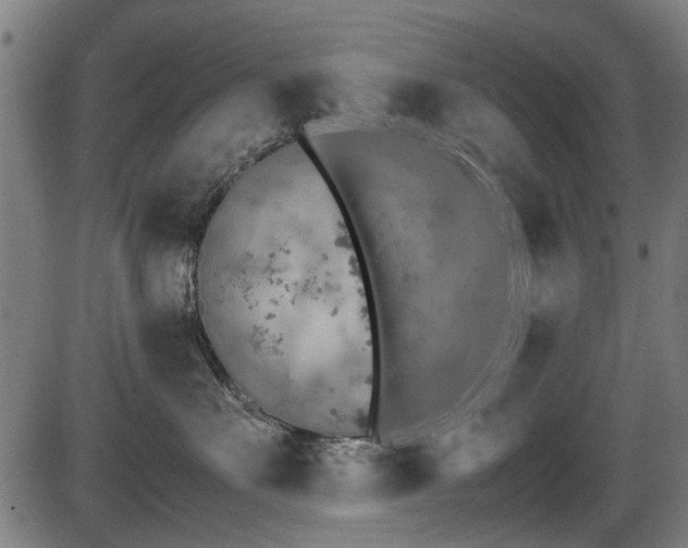 X0000087640527200705031513