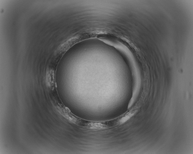 X0000087640528200705031513