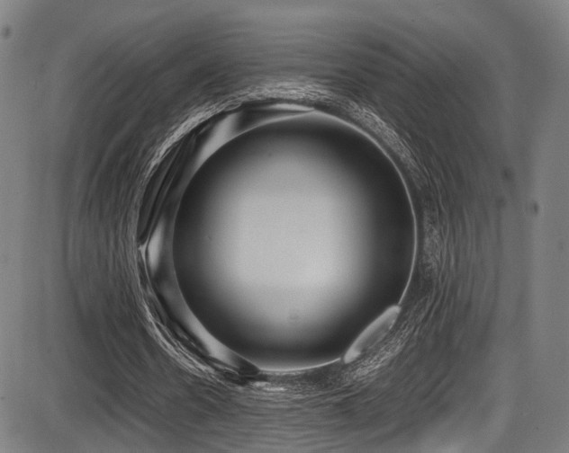 X0000087640530200705031513