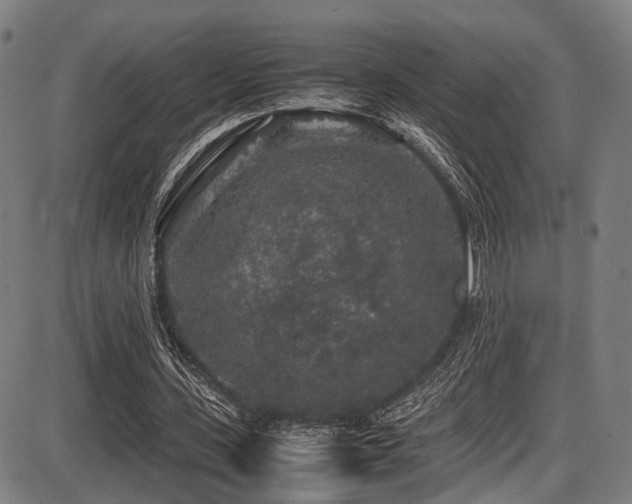 X0000087640531200705031513