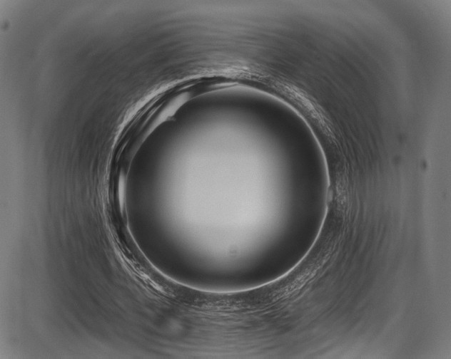 X0000087640532200705031513