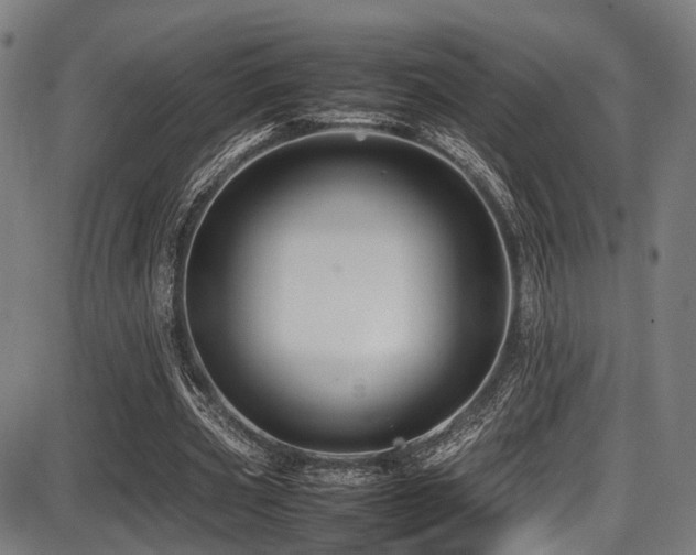 X0000087640533200705031513