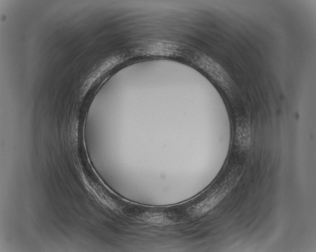 X0000087640534200705031513