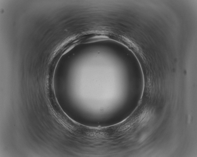 X0000087640535200705031513