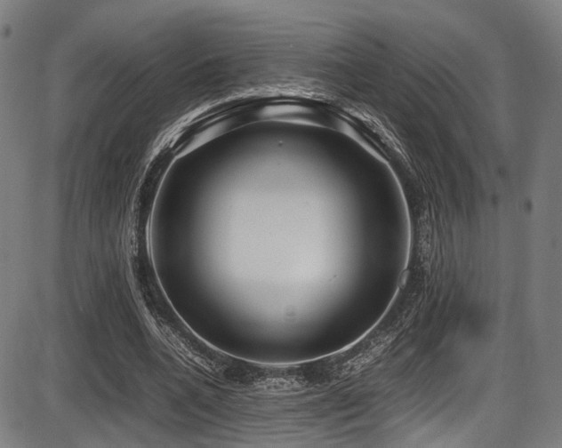 X0000087640536200705031513