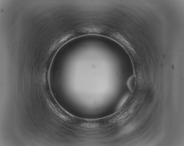 X0000087640537200705031513