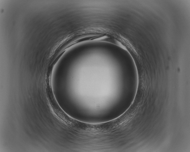 X0000087640538200705031513