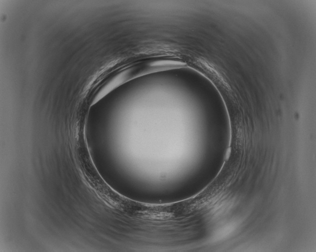 X0000087640539200705031513