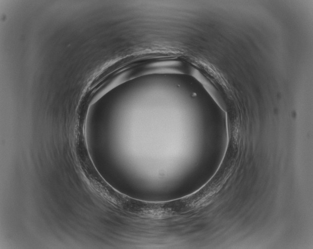 X0000087640540200705031513