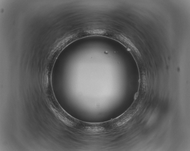 X0000087640541200705031513