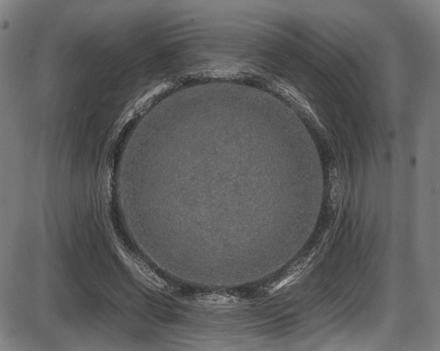 X0000087640542200705031513