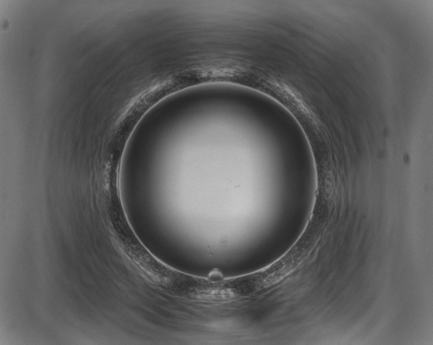 X0000087640543200705031513