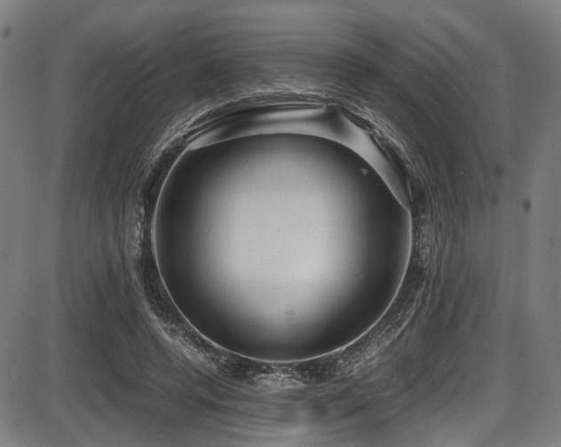 X0000087640544200705031513