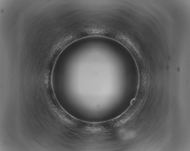 X0000087640545200705031513