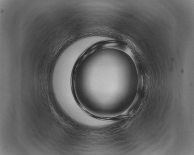 X0000087640546200705031513