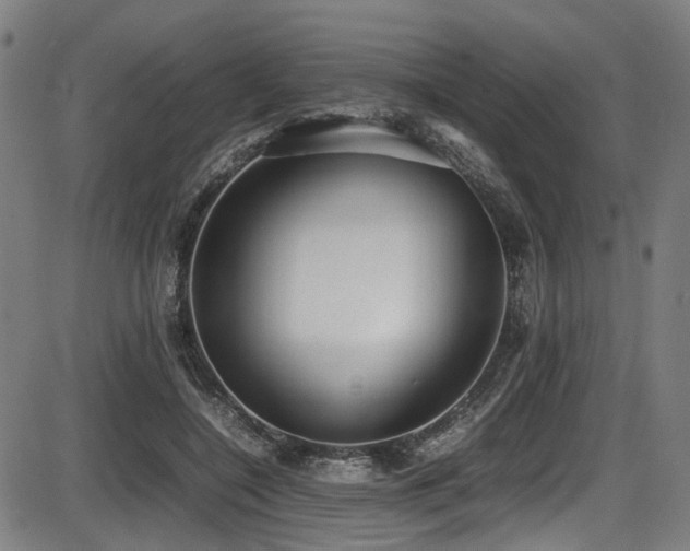 X0000087640548200705031513