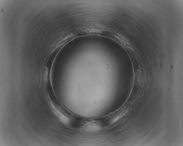 X0000087640550200705031513