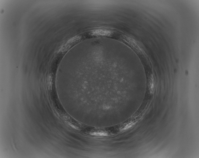 X0000087640551200705031513