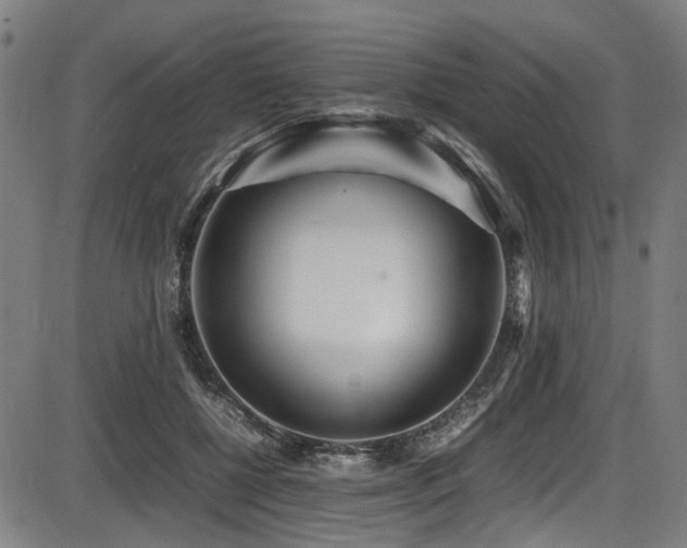 X0000087640552200705031513