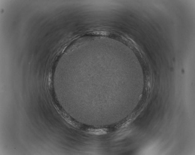 X0000087640553200705031513