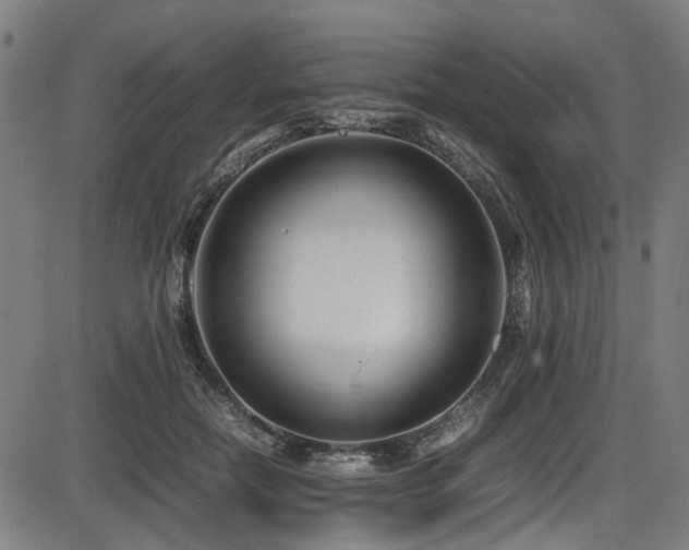 X0000087640554200705031513