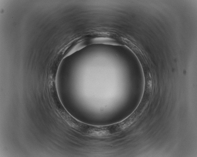 X0000087640555200705031513