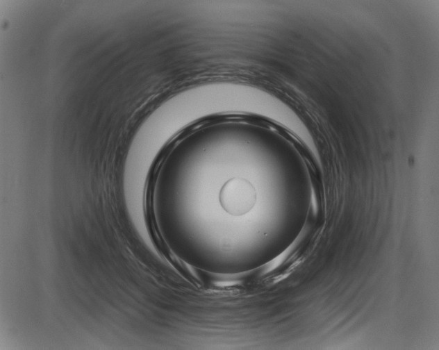 X0000087640556200705031513