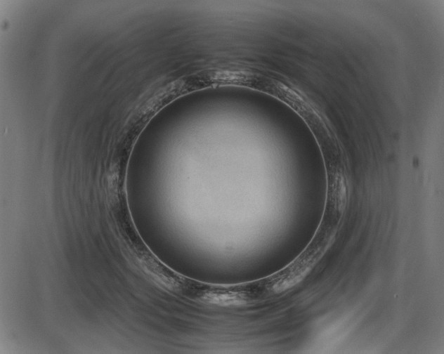 X0000087640557200705031513