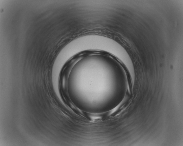 X0000087640558200705031513