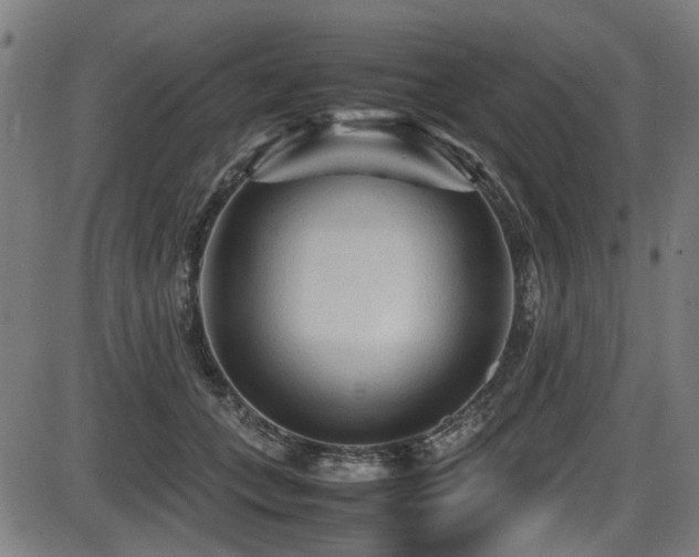 X0000087640559200705031513