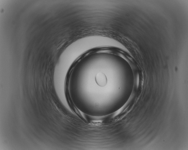 X0000087640560200705031513