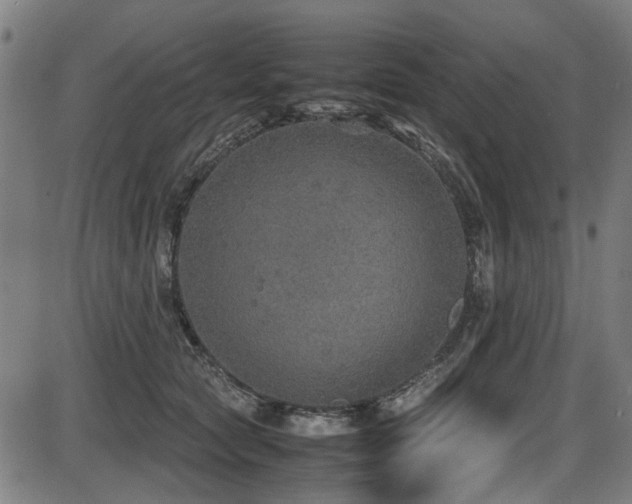 X0000087640561200705031513