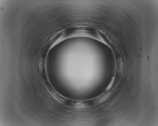 X0000087640562200705031513