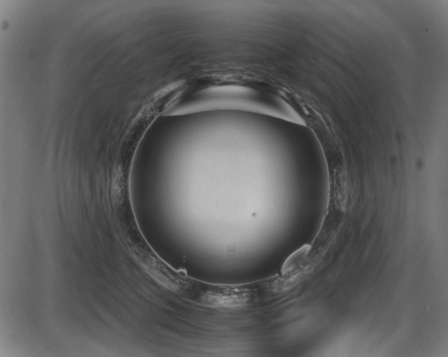 X0000087640563200705031513