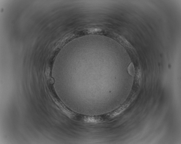 X0000087640565200705031513