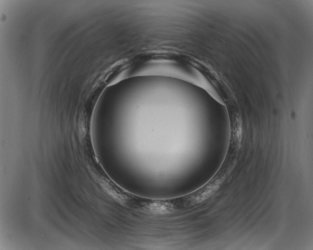 X0000087640566200705031513