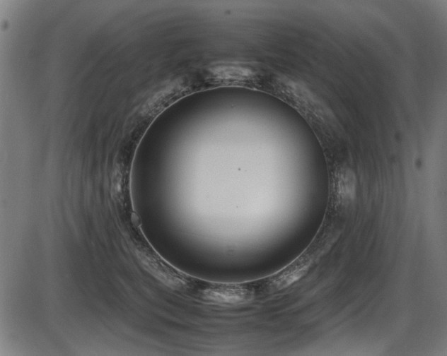 X0000087640567200705031513