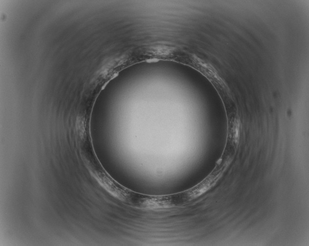 X0000087640568200705031513