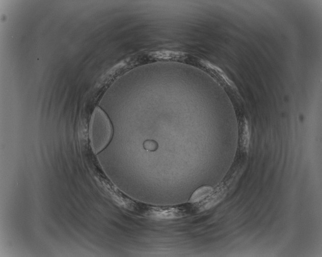 X0000087640569200705031513