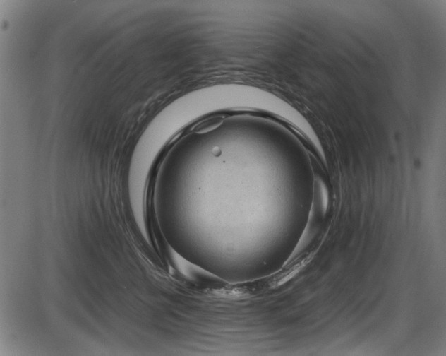 X0000087640570200705031513