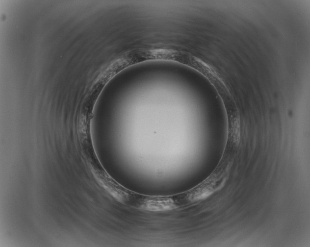 X0000087640571200705031513