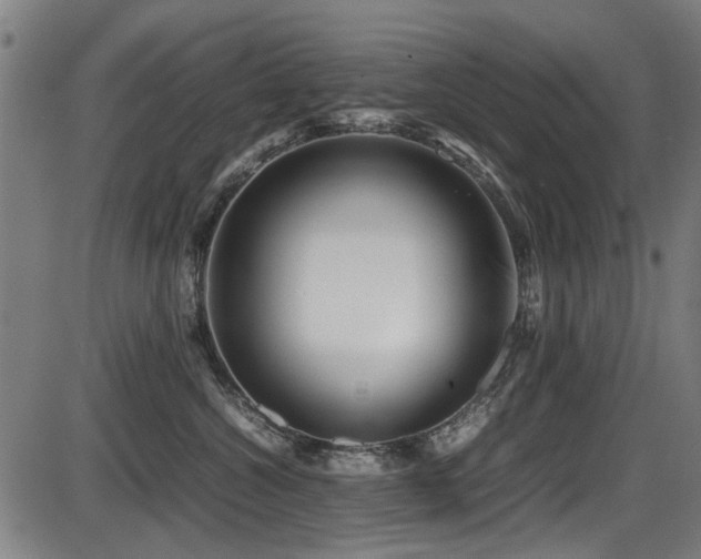 X0000087640572200705031513