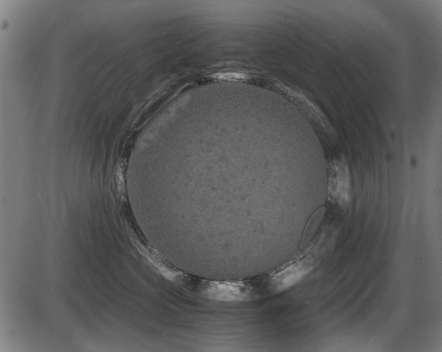 X0000087640573200705031513