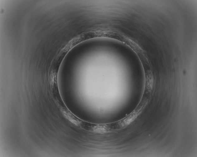 X0000087640574200705031513