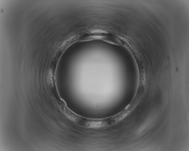 X0000087640575200705031513