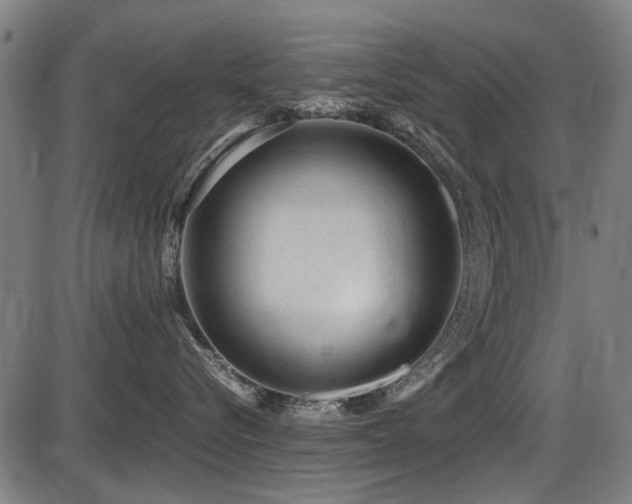 X0000087640576200705031513