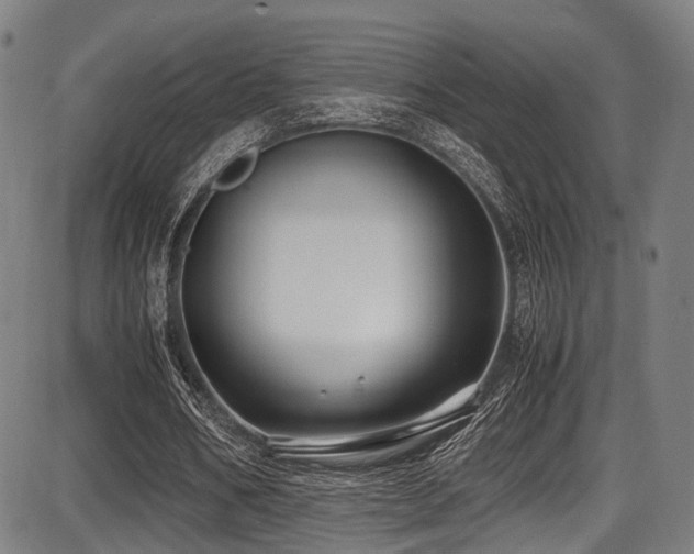 X0000087640578200705031512